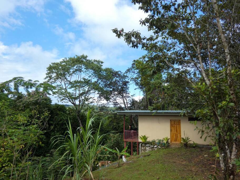 Апартаменти Tapiru'S House - Bahia Drake Дрейк Екстер'єр фото