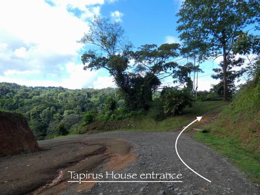 Апартаменти Tapiru'S House - Bahia Drake Дрейк Екстер'єр фото