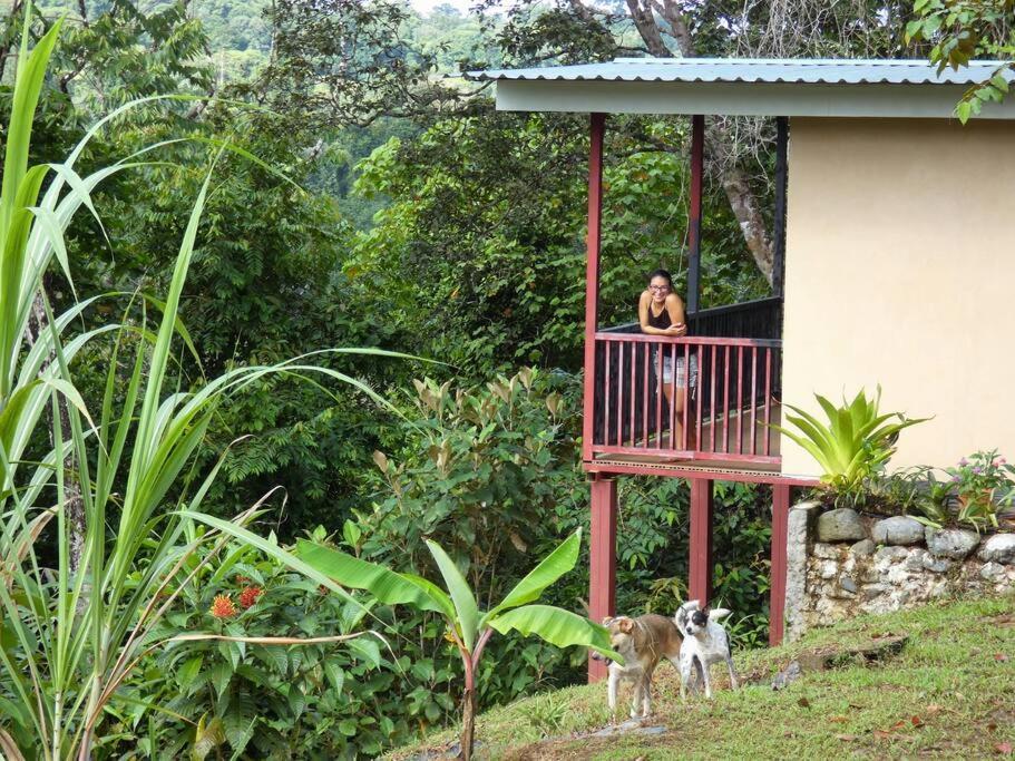 Апартаменти Tapiru'S House - Bahia Drake Дрейк Екстер'єр фото