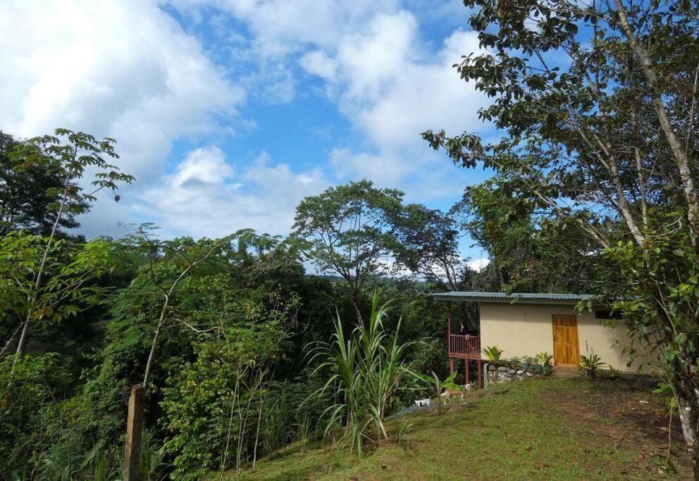Апартаменти Tapiru'S House - Bahia Drake Дрейк Екстер'єр фото
