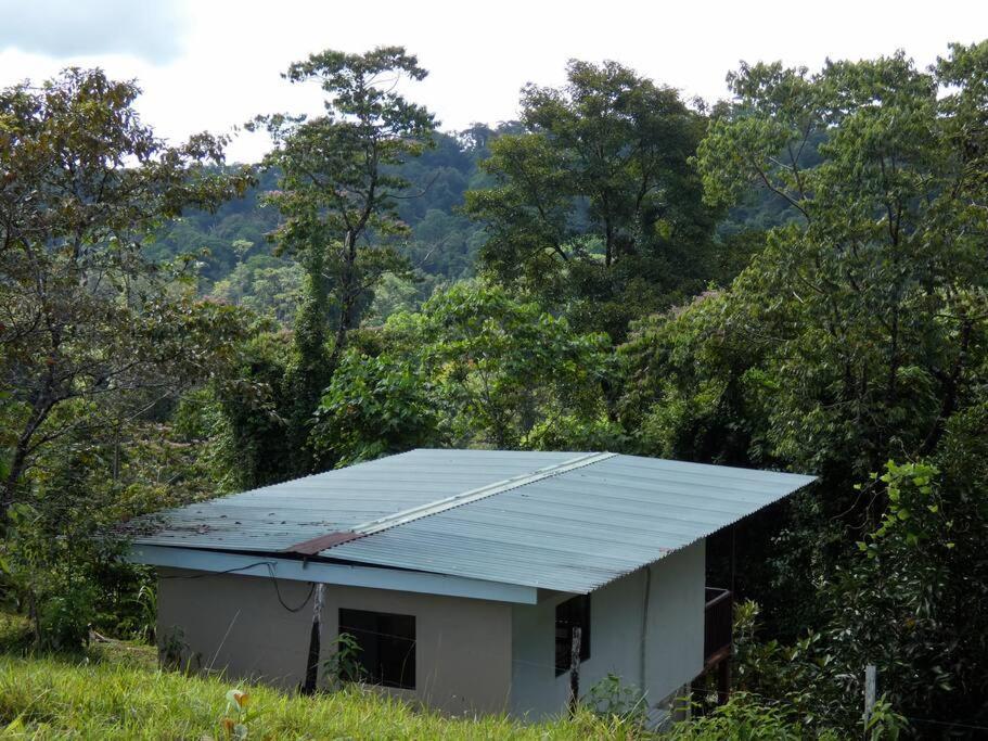 Апартаменти Tapiru'S House - Bahia Drake Дрейк Екстер'єр фото